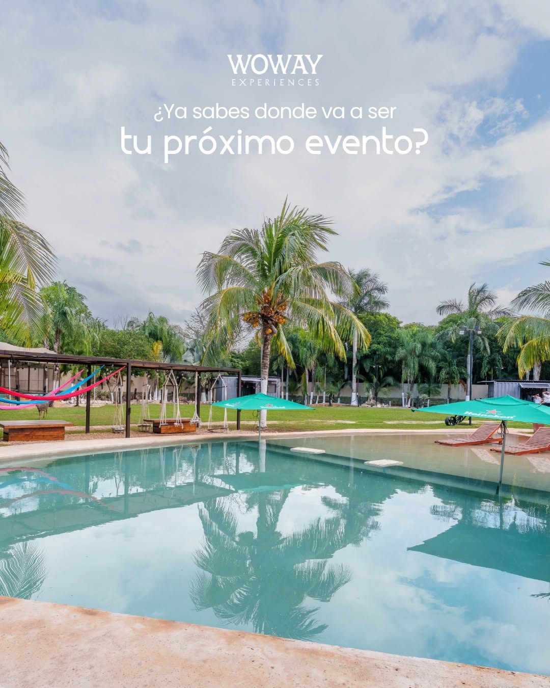 Quinta maldonado